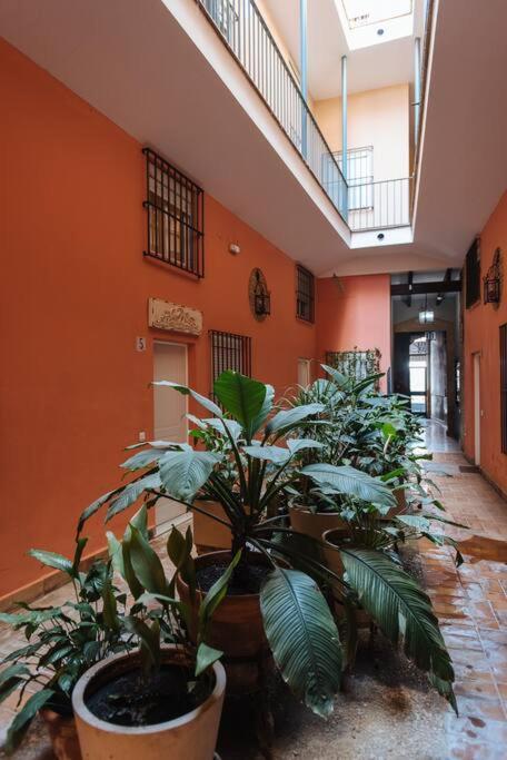Selecta Elegante Y Centrico Apartamento Sevilla Buitenkant foto
